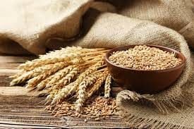 Letkin Nedir? (Buğday Proteini)