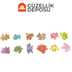 Tırnak Nail Art Kurutulmuş Çicek 12'li