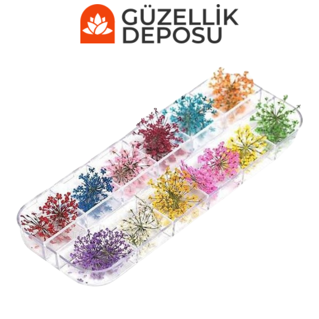 Kurutulmuş Çiçek Çeşitleri 12'li