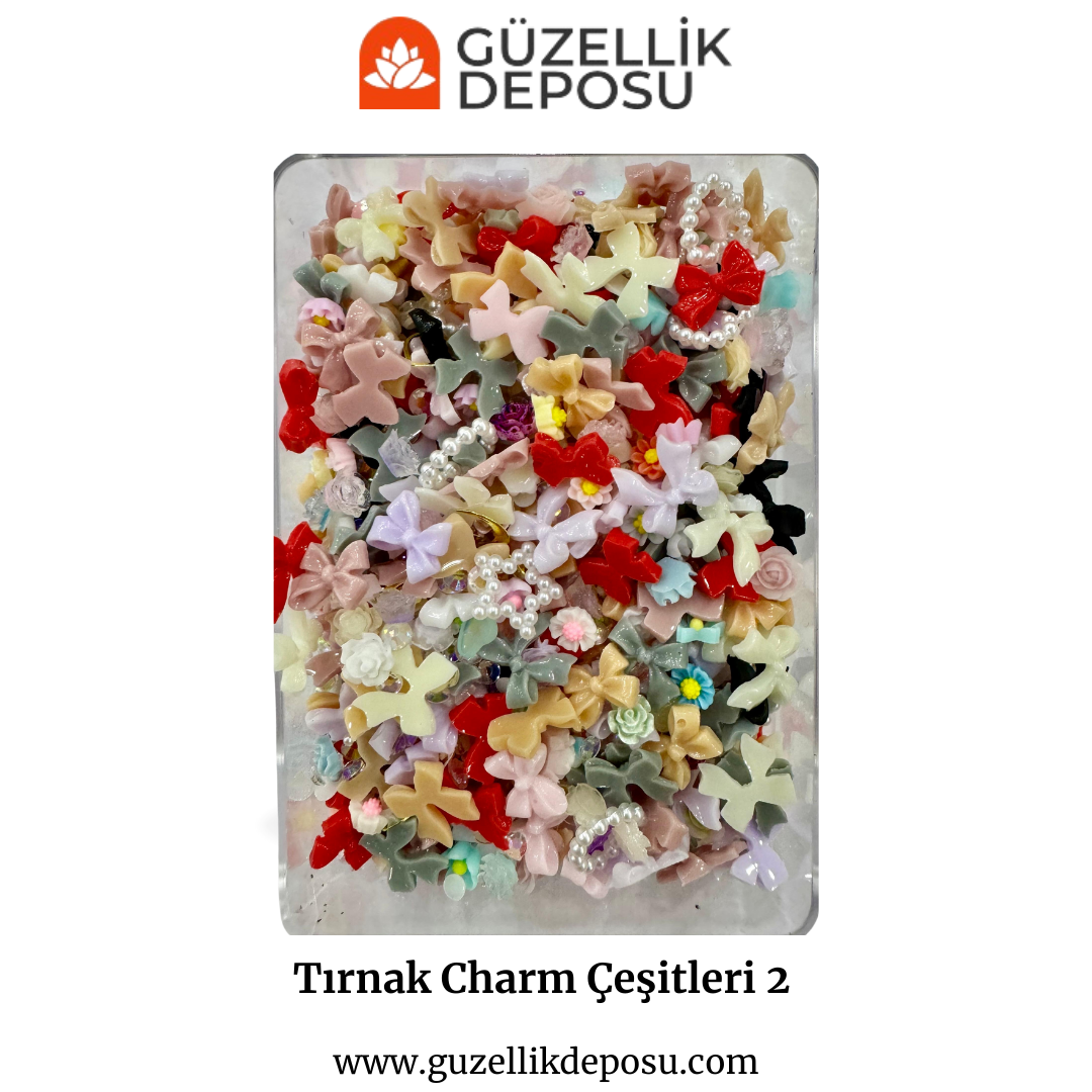 Tırnak Charm Çeşitleri 2 (500’lü)