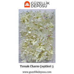 Tırnak Charm Çeşitleri 3 (500’lü)