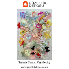 Tırnak Charm Çeşitleri 4 (500’lü)