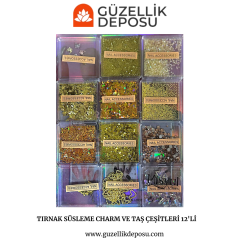Tırnak Süsleme Charm ve Taş Çeşitleri 12'li Gold