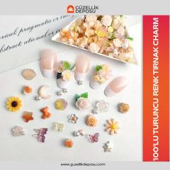 100'lü Turuncu Renk Tırnak Charm ( Kelebek,Çiçek,Fiyonk,Kurdele,Yaprak)
