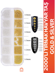 2000 Adet Havyar Taş Nail Art Tırnak Süsleme Boncuk Gold ve Gümüş Renk